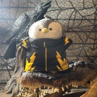 Jesse Pengu (@jessepengu) 's Twitter Profile