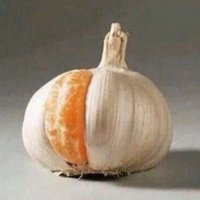 🧄 (@sowhathope) 's Twitter Profile Photo