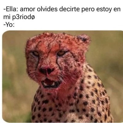 Yo hombre maduro y Busco 1 pareja madura cuckold sumisa para ser su macho exclusivo. Solo cd reynosa discreción total. Solo MD