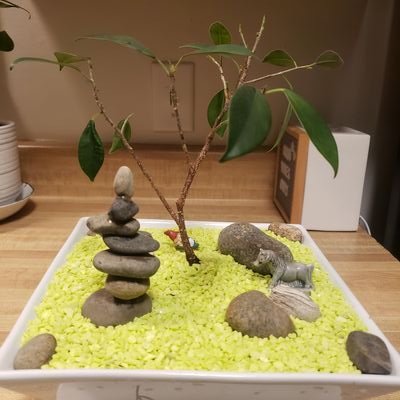 RyuOnSolana's profile picture. 