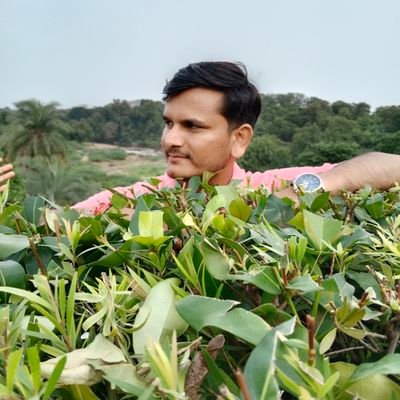 thelooser1401's profile picture. 