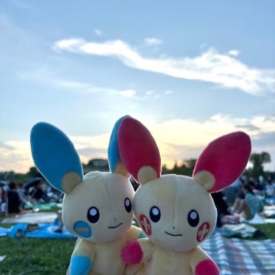 求心顔のプラスルと遠心顔のマイナンを中心に、いろんなポケモンとの生活をあげていきます。いいねしてくれたら2人も喜びます^^