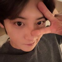 ㄥᄅƖɥɔɐǝdloǝʎ ɐʇᴉΛ | NMOpƎpISԀ∩ (@vyeolpeach2714) 's Twitter Profile