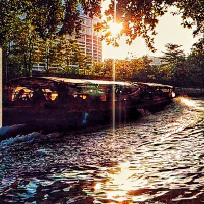 40zenfocus98's profile picture. 더불어 사는 삶