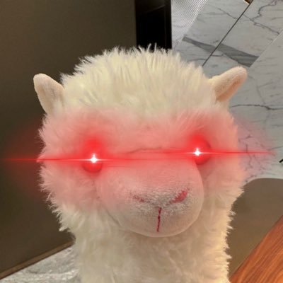 Co-founder @Fiamma_Labs, making bitcoin speak with BitVM | Prev. Invest. @BinanceLabs & Invest. Banking @Citi | Philosophy & Business @UNC | Alpaca mama 🦙💗