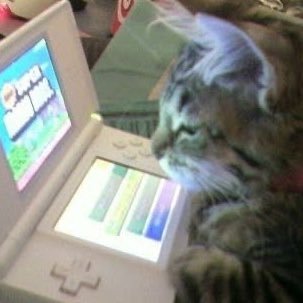 fermirandm's profile picture. mi diario