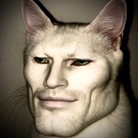 GigaCatSOL (@thegigacatsol) 's Twitter Profile
