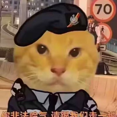 原账号@zhtCHN
04男大,常驻上海,H175/W60,喜欢各类丝袜(尤其白丝),深圳校服,jk。
私信请说明来意
