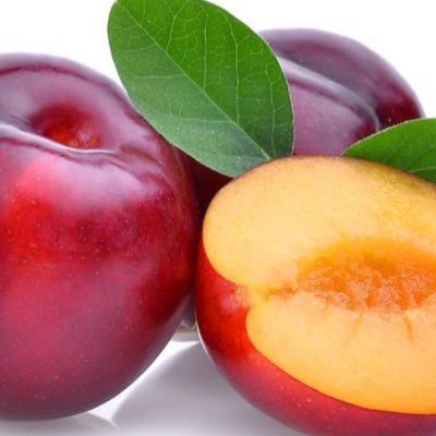 imalja6431's profile picture. 뾰족둥글뾰족둥글 https://t.co/iEhRlthwJt