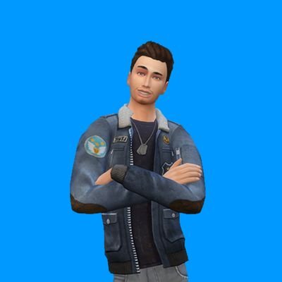 ☀️ SimmerDmitriy ☀️ Profile