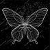 KELEBEK UÇUŞU (@kelebekflytr) Twitter profile photo KELEBEK UÇUŞU (@kelebekflytr) Twitter profile photo
