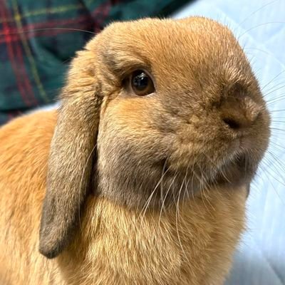 Smile1111184456's profile picture. nothing to see here motherf