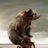 chris61120's profile image