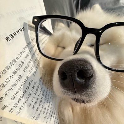 kisspuppgy's profile picture. kiss~#手控