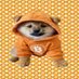 加密推特英雄 🔺🧡 (@orangedogloverr) Twitter profile photo 加密推特英雄 🔺🧡 (@orangedogloverr) Twitter profile photo