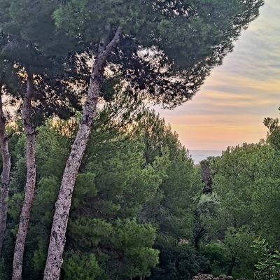 karelbijbos's profile picture. 