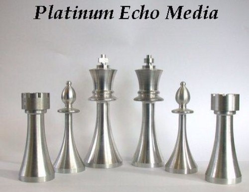PlatinumEcho's profile picture. Let us Echo your company name until you reach platinum status with your customers!!!
