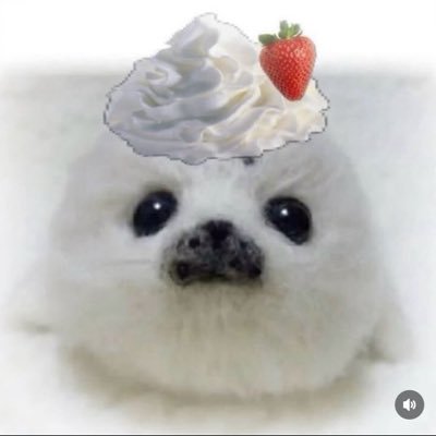 blanco_wanko's profile picture. ｢シャンクスはドリンクバーで髪を洗っている｣について真剣考察し、最後には死ぬ