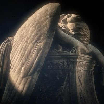 fossildead's profile picture. ,,nihil sub sole novum,, | shedtwt | 20 yo | she/her | cbmi: 20.0