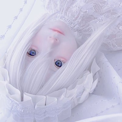 neko_1102mi's profile picture. 🇯🇵