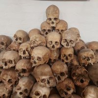 Zakhar6061 (@zakhar606172805) 's Twitter Profile