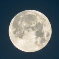 ようすけ🌕️ (@9llelesauu48743) Twitter profile photo