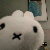 π (@xnghof) 's Twitter Profile