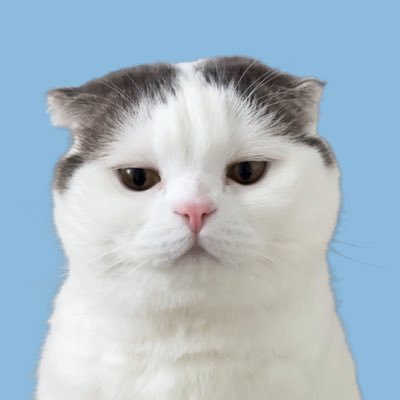 enhdorse's profile picture. แคนวาโปร / Microsoft 365 พร้อมส่ง ส่งเอง ส่งไวแน่นอน🪄Review #reviewbabybaek Order: DM or Line @692qzhqh