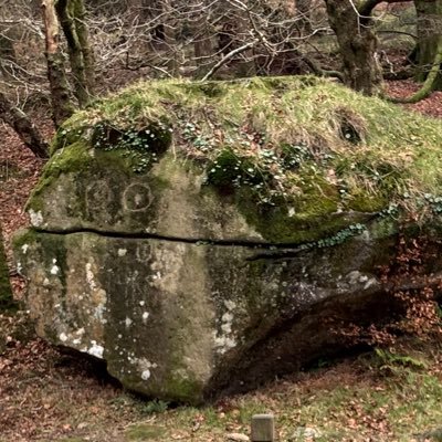 reymundo2315's profile picture. yeet