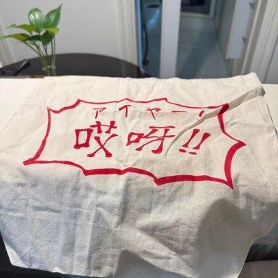 ★中国語学習記録用★あとは家事、ジャズダンス、ご飯、などなど★大真是网名,于是没有日语发音,叫我dàzhēn吧★HSK5を勉強中★猫が好き★現場猫も好き★理系っぽい仕事★プロフィール画像はある意味私です