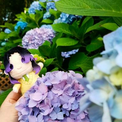 26歳♀看護師。
しのぶ様・レゼ様激推し/胡蝶三姉妹推し🦋💜
。🌊🦋/🪷🦋/🔥🦋等、🦋総受け(愛され)大好き民。
無言フォロー失礼します🙇♀️