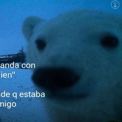 sauldnn's profile picture. El museo de las contradicciones