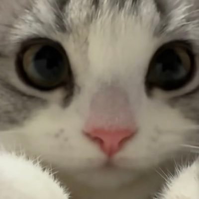 ららさんのプロフィール画像