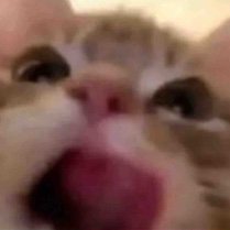 DFzIgFT37m22952's profile picture. 抹茶好きです  鉄道アドオンを製作してます