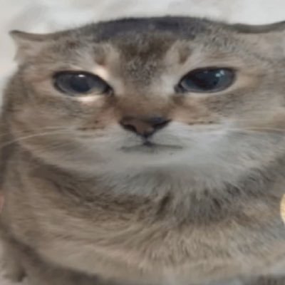 _ML_018's profile picture. Smarter than you avarege retard.- I don't block anyone, I'm not a pussy.