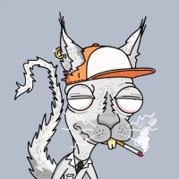 黑奴死里干🧪 (@zx54921610) 's Twitter Profile Photo