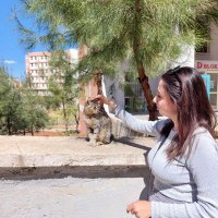 Hatice Hazar (@haticehazarrr) 's Twitter Profile