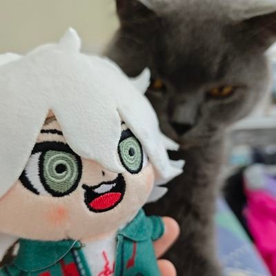 snyoki_低浮上さんのプロフィール画像