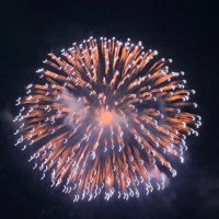 ヒト (@yz1e3vcjth70032) 's Twitter Profile Photo ヒト (@yz1e3vcjth70032) 's Twitter Profile Photo