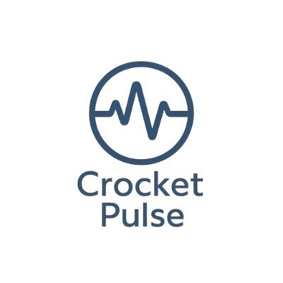 CrocketPulse's profile picture. Moderne Musik mit Charakter