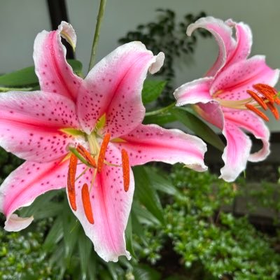 avOayWv7cSrL7mQ's profile picture. 