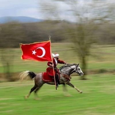 fetiharslan's profile picture. ser-e sevda almadan aşka sur-at istersin bahr-i aşka dalmadan dilde vus-at istersin