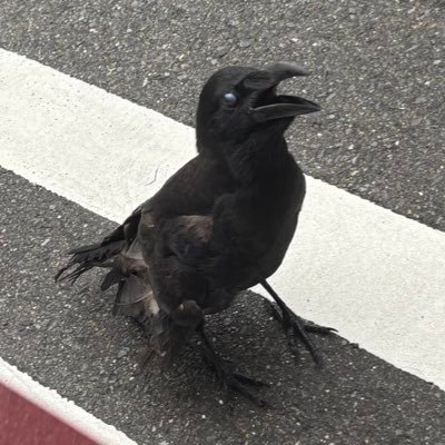 ※※※このアカウントは変態極まりない趣味の塊です※※※