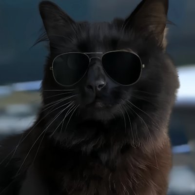 Kostya280026's profile picture. Meow