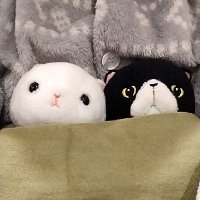 我が家の動物たち (@wagayanoanimals) Twitter profile photo
