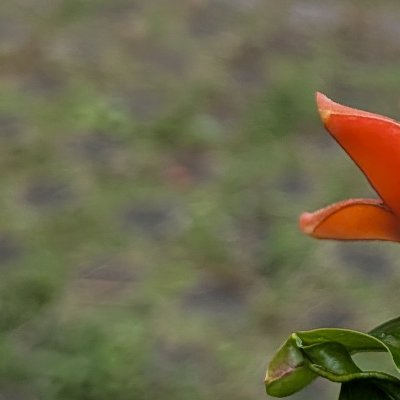 ztS4HM1QwM7028's profile picture. 腐ってます