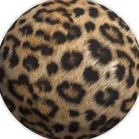 ileey | ᴄᴏᴍᴍᴜɴɪᴄᴀᴛɪᴏɴ²⁶ (@cscoo_) 's Twitter Profile