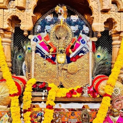 AjayBisari99844's profile picture. 