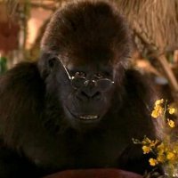 El Negro. (@carlblack92) 's Twitter Profile