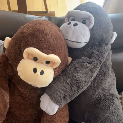 2025.7.27 投稿スタート🦍
Instagram:https://t.co/wlB14i8aVa